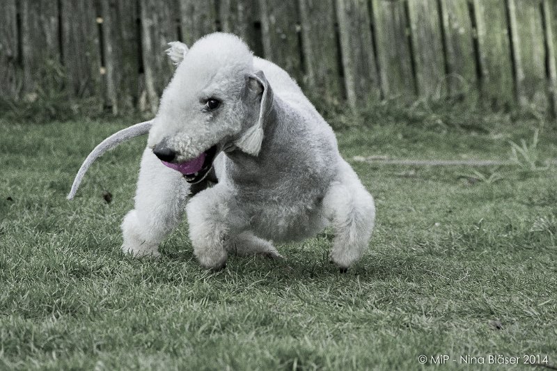 2014-03-14 Svet-8052-1.jpg